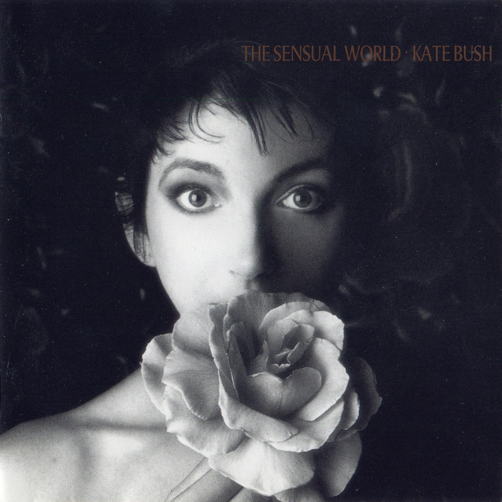 The Sensual World (Ash Grey Vinyl)