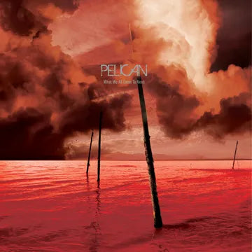 What We All Come To Need & Ephemeral *RSD*