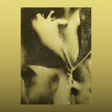 1983 *RSD*