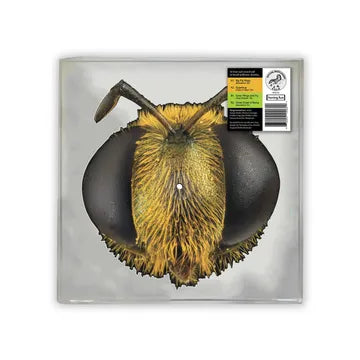 Big Fig Wasp *RSD*