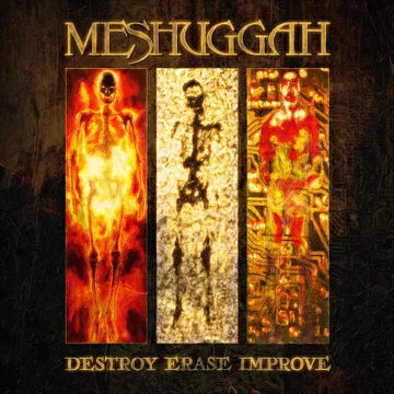 Destroy Erase Improve: Remastered Anniversary Edition *RSD*