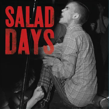 Salad Days: Music From The Documentary Film *RSD*
