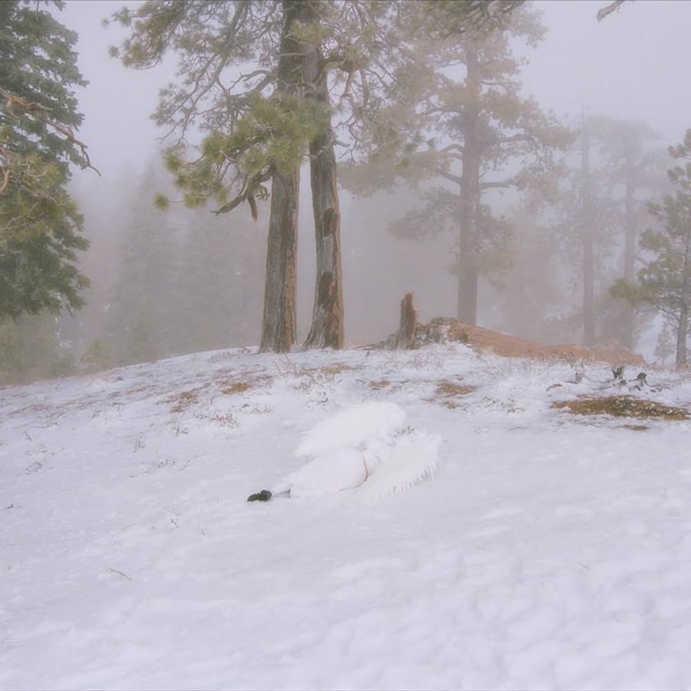 PANDORA (EP) (TRANSLUCENT MILKY CLEAR VINYL)