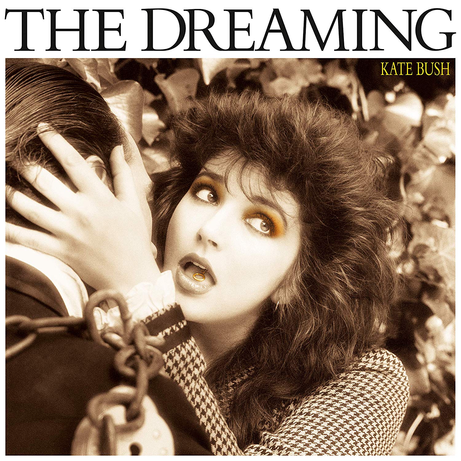 The Dreaming (Smokey Vinyl)