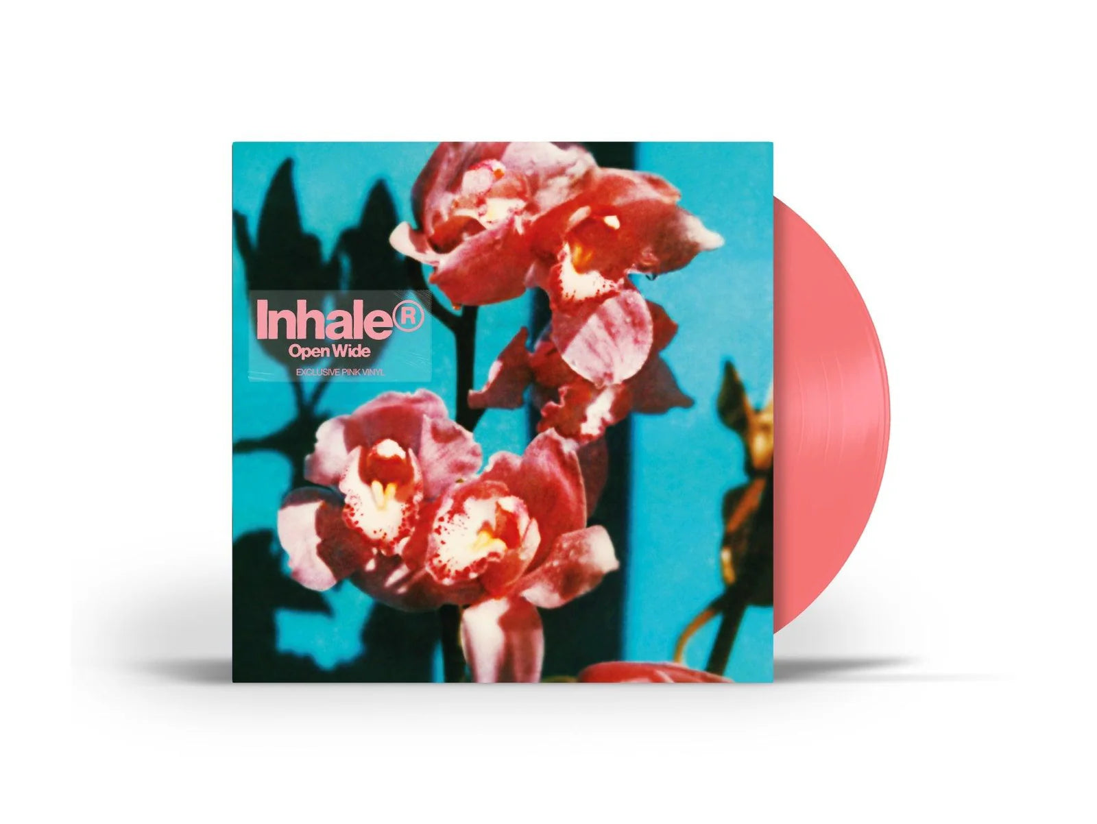 Open Wide (Indie Exclusive Pink LP)