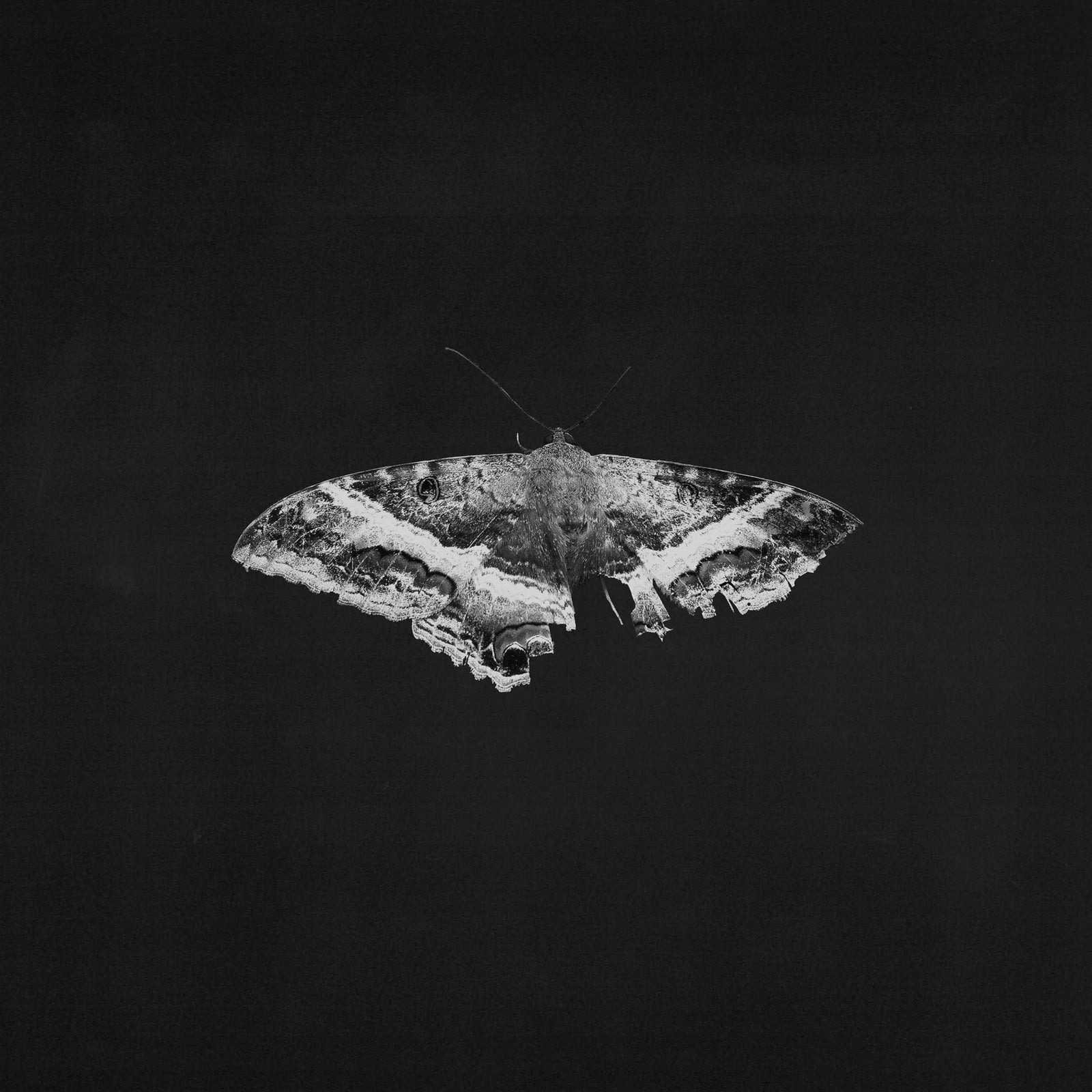 To Pimp a Butterfly (10th Anniversary Edition/Alternate Artwork/Metallic Blends Vinyl)