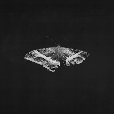 To Pimp a Butterfly (10th Anniversary Edition/Alternate Artwork/Metallic Blends Vinyl)