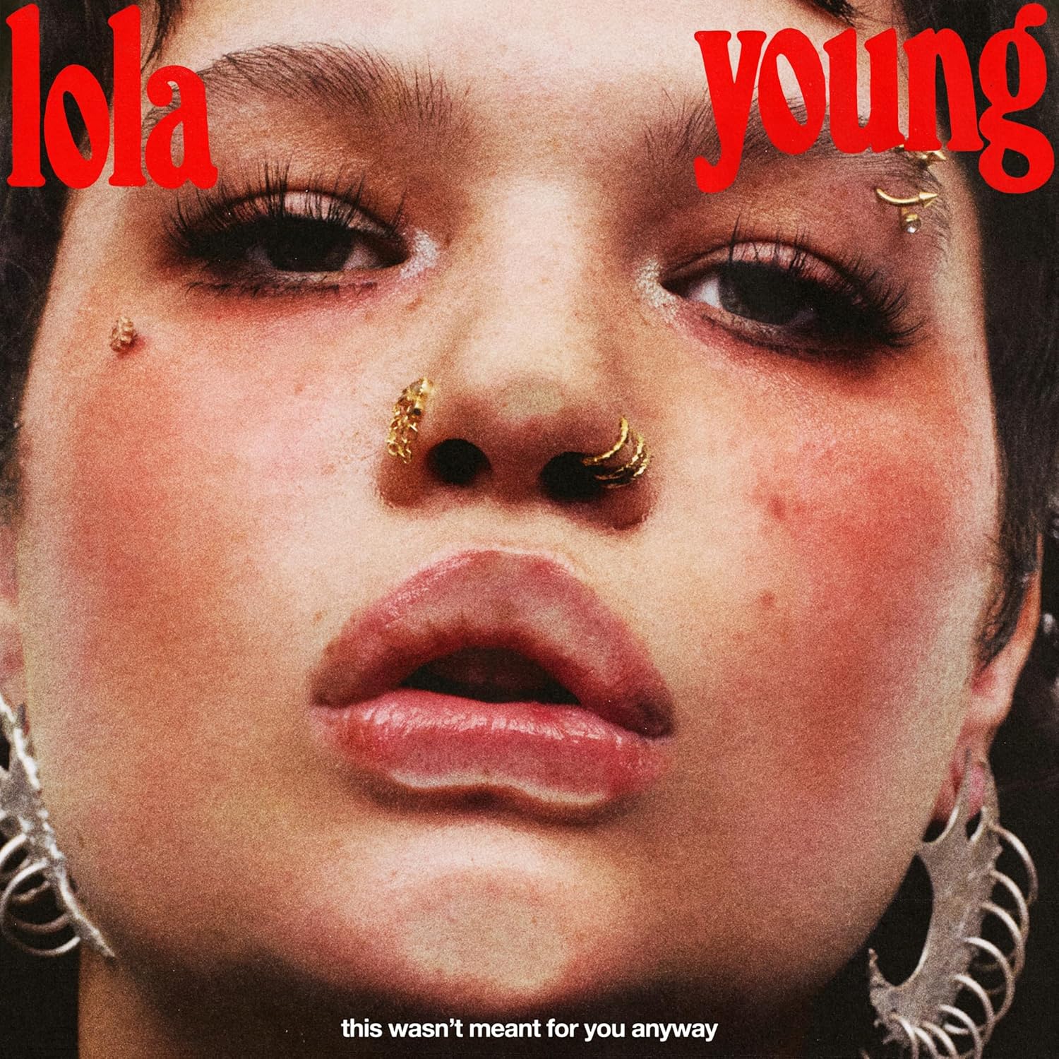 This Wasn't Meant for You Anyway (Transparent Red Vinyl)