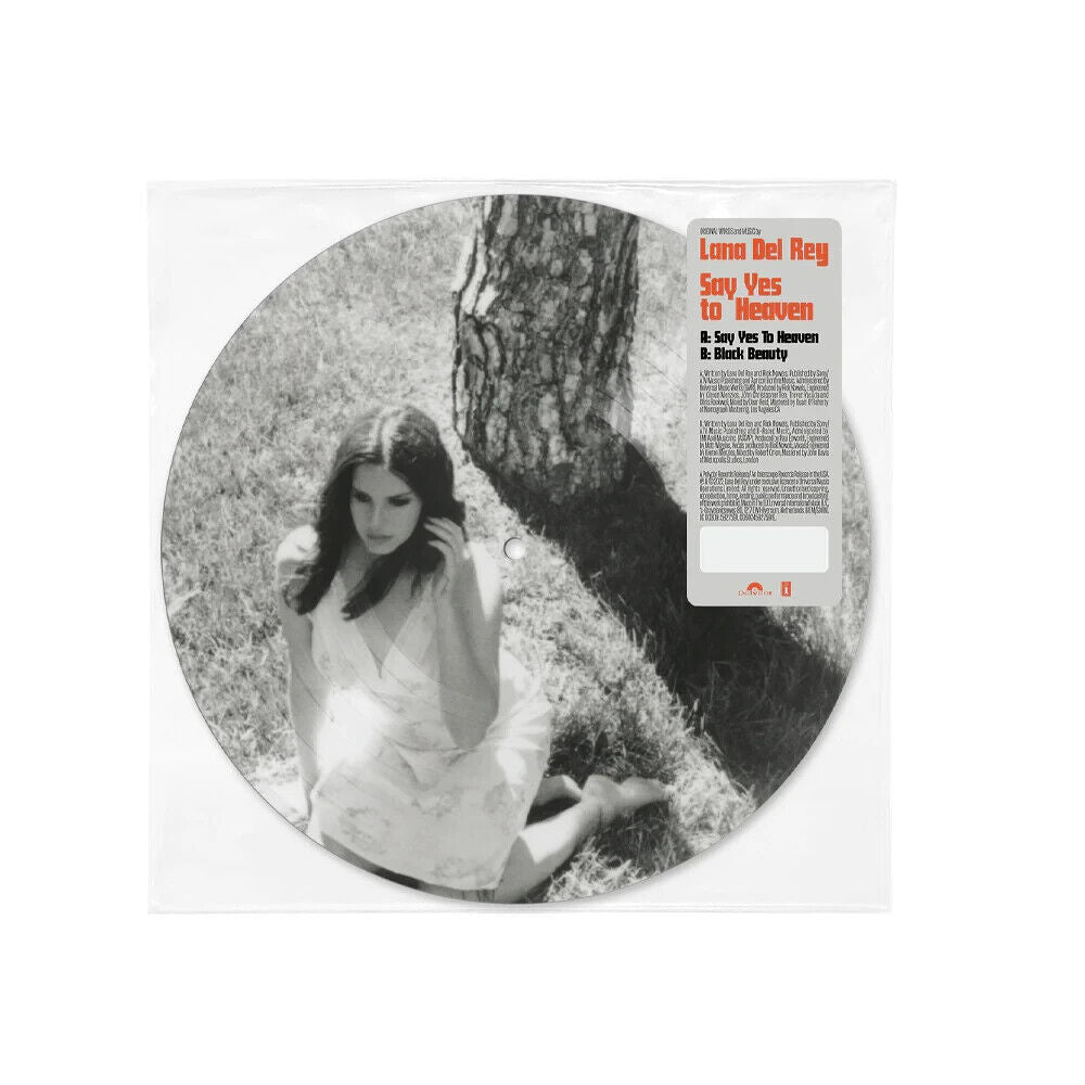 Say Yes to Heaven/Black Beauty (7" Picture Disc)