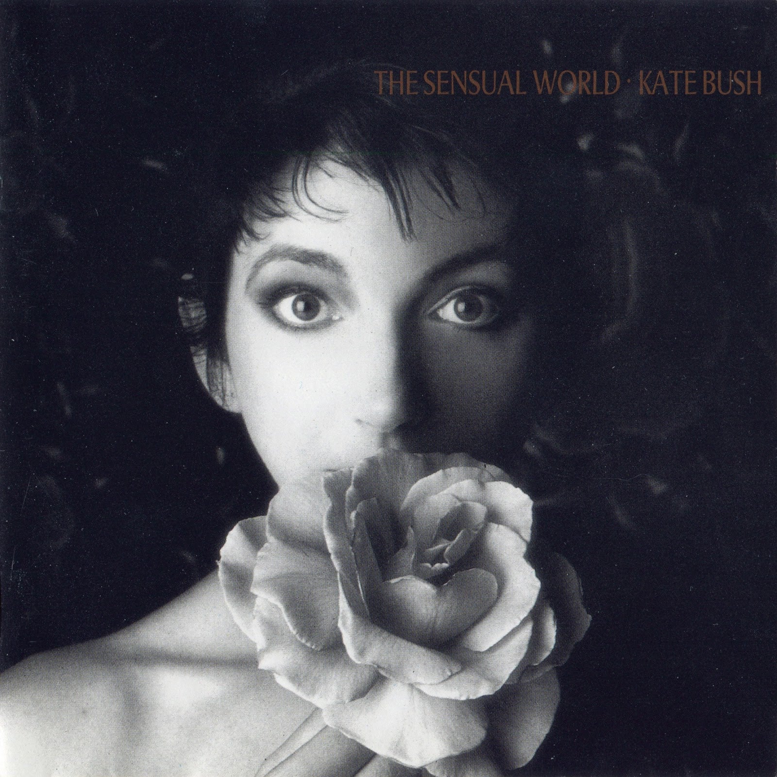 The Sensual World