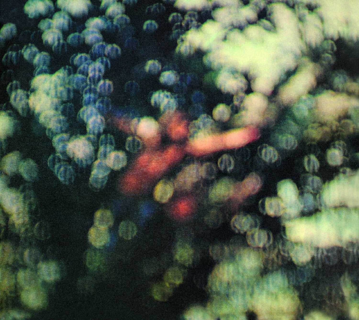 Obscured By Clouds (Remastered 180 Gram)