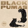 Black Pumas [Collector's Edition 7" Box Set]