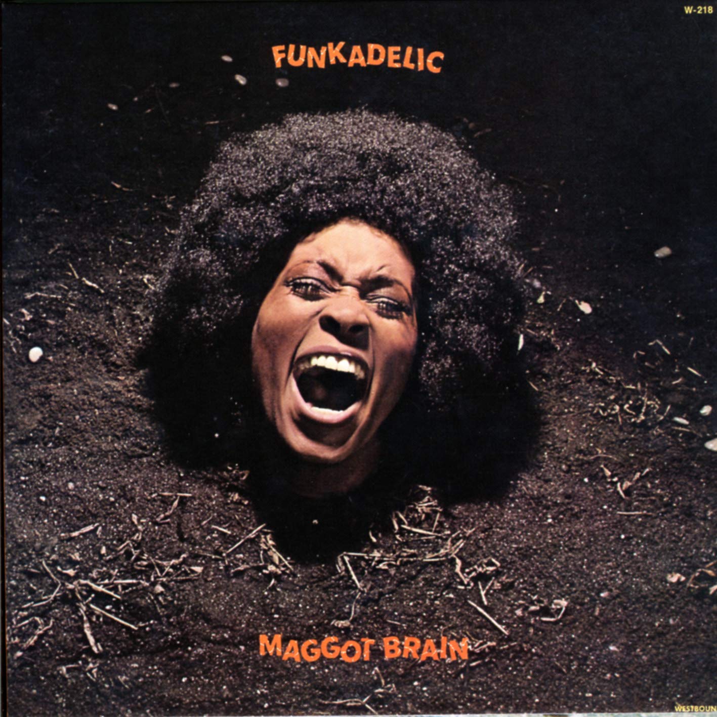 Maggot Brain