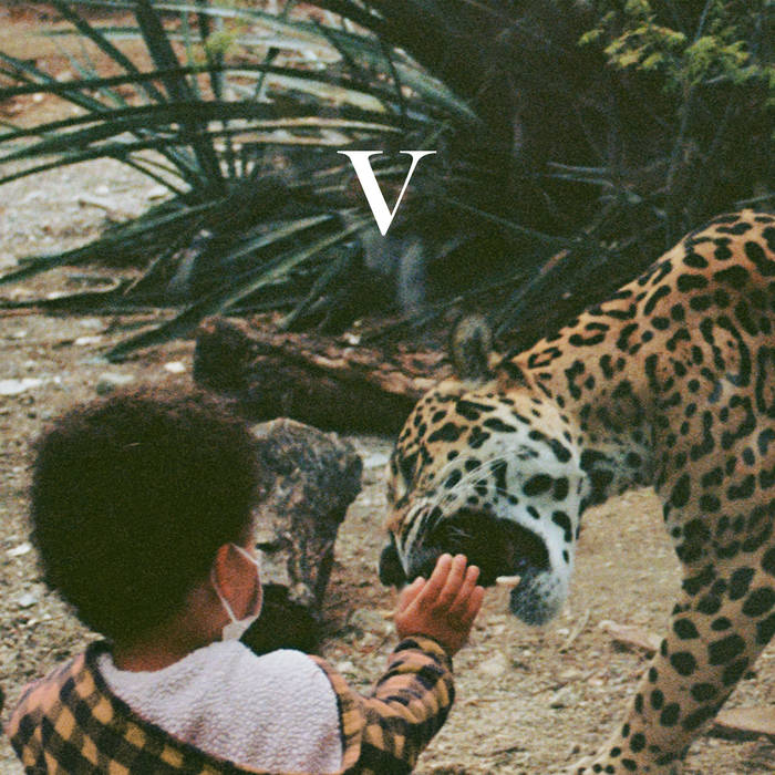 V (Limited Edition Gold Vinyl)